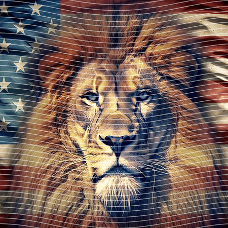 20oz integrate-EJ-10671